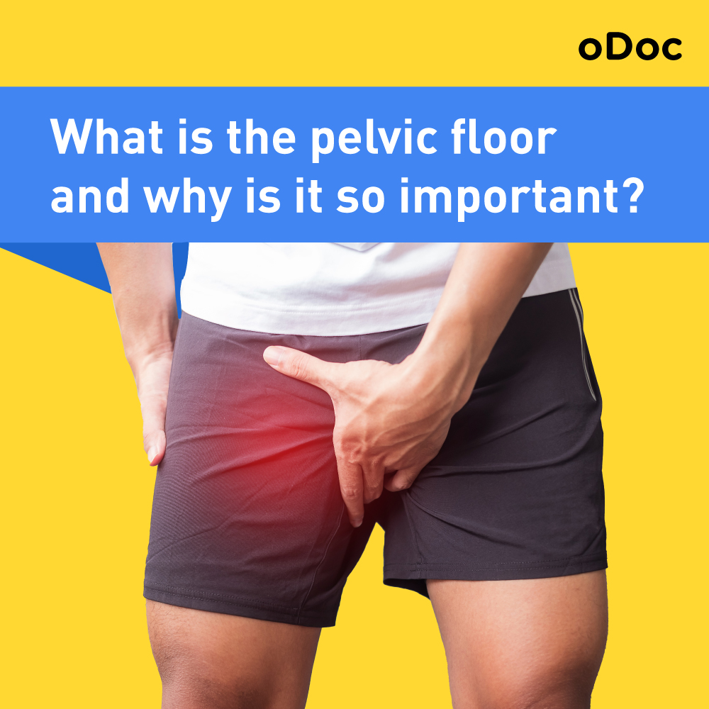 pelvic floor